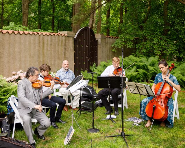 Musicians perform in a garden.